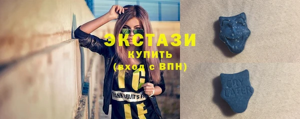 PSILOCYBIN Бородино