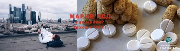 PSILOCYBIN Бородино