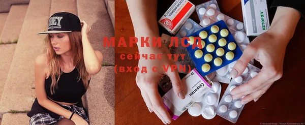 PSILOCYBIN Бородино