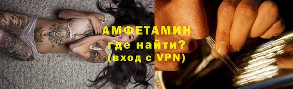 шишки Верхний Тагил