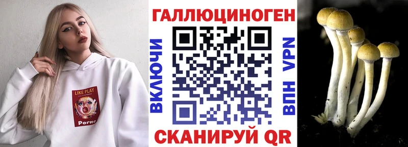 Купить  Аша  Галлюциногенные грибы прущие грибы 